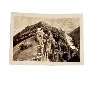 Vtg B&W Photo Found 1940 Yellowstone Park Road Tree Mountain Top View Snapshot